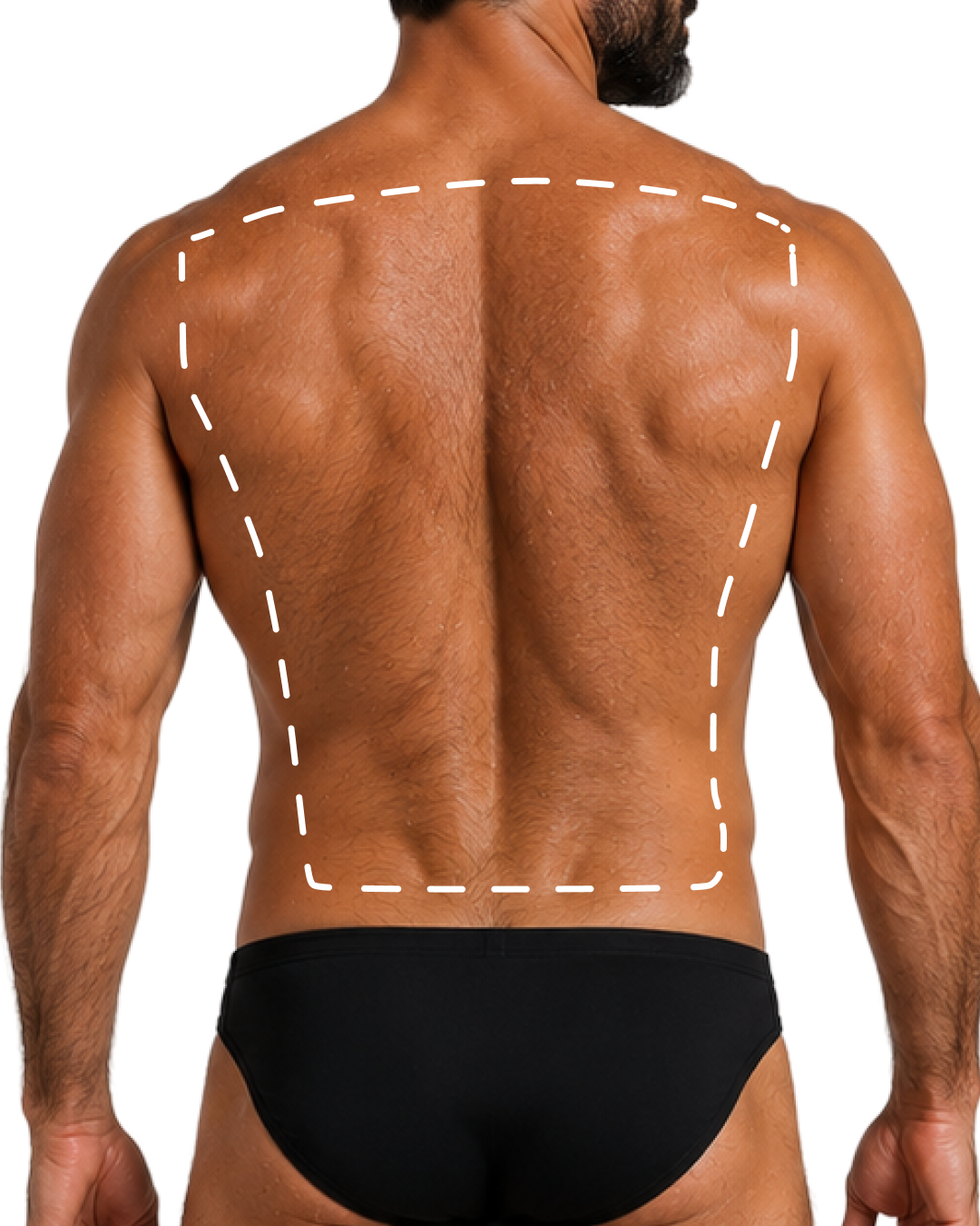 FULL BACK