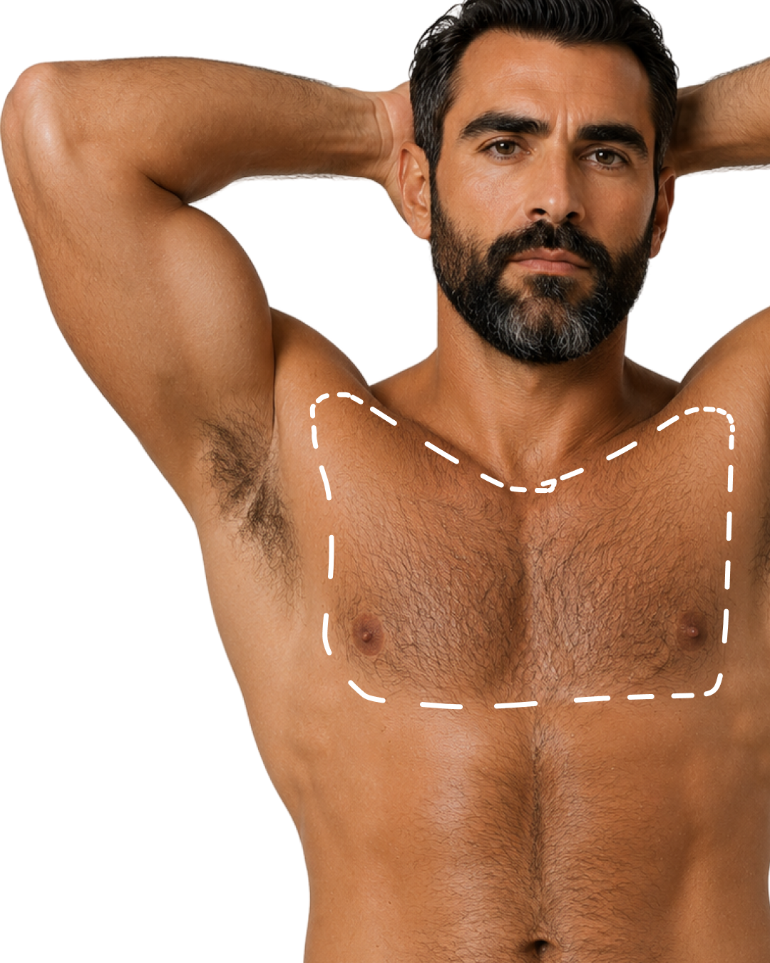 CHEST